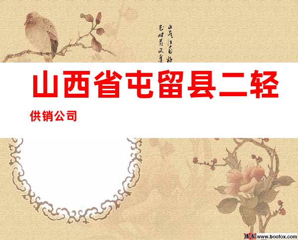山西省屯留县二轻供销公司